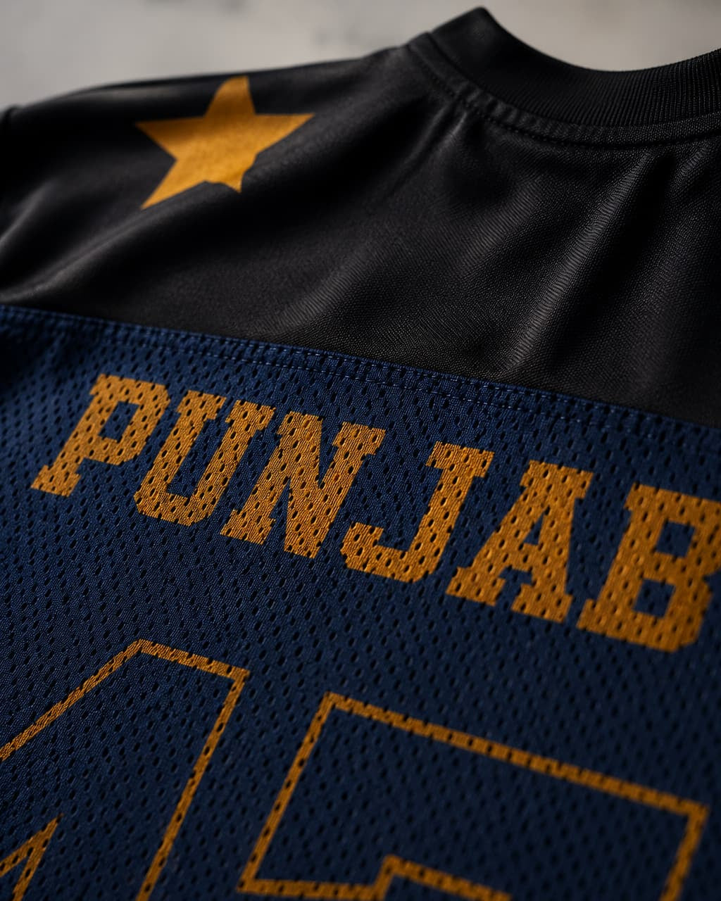 PUNJAB JERSEY